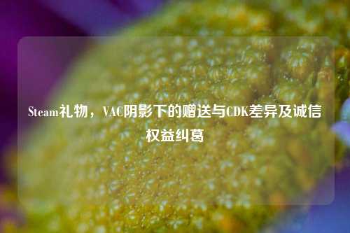 Steam礼物,VAC阴影下的赠送与CDK差异及诚信权益纠葛