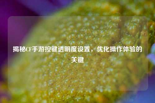 揭秘CF手游按键透明度设置,优化操作体验的关键