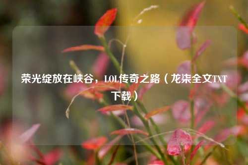 荣光绽放在峡谷,LOL传奇之路(龙柒全文TXT下载)