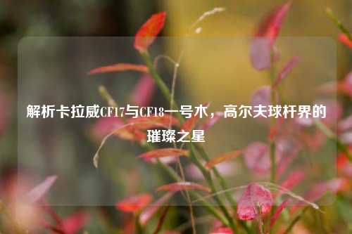 解析卡拉威CF17与CF18一号木,高尔夫球杆界的璀璨之星