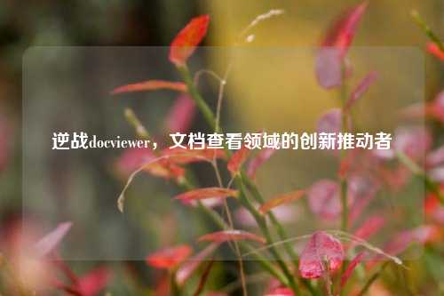 逆战docviewer,文档查看领域的创新推动者
