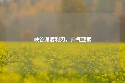 峡谷潇洒利刃,帅气亚索