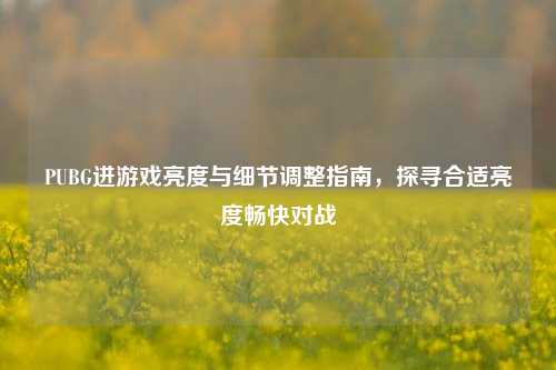 PUBG进游戏亮度与细节调整指南,探寻合适亮度畅快对战