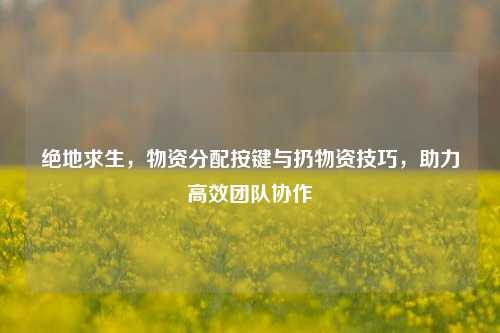 绝地求生,物资分配按键与扔物资技巧,助力高效团队协作