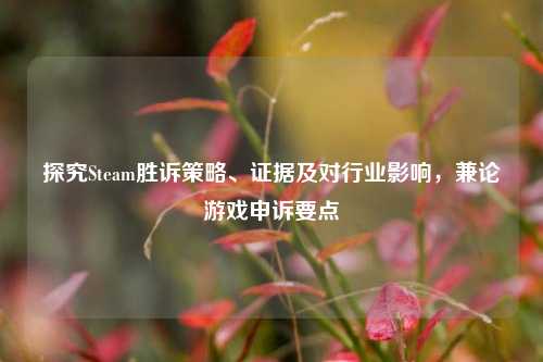 探究Steam胜诉策略、证据及对行业影响,兼论游戏申诉要点