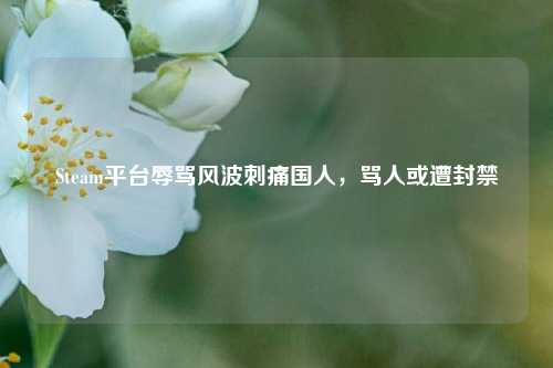 Steam平台辱骂风波刺痛国人,骂人或遭封禁